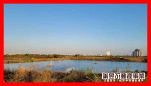 誠昱/台17置產持分都.