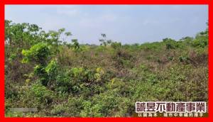 誠昱/玉井三埔有資室農.