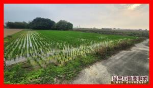 誠昱/善化大同國小368.