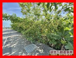 誠昱/新化中正路面方正農.